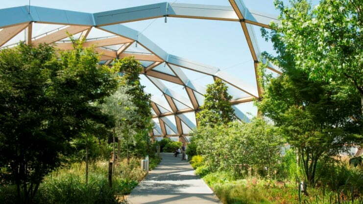 Tu B’Shvat with Tree Planting