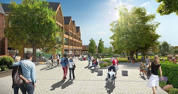 Tree Works at Elms Field