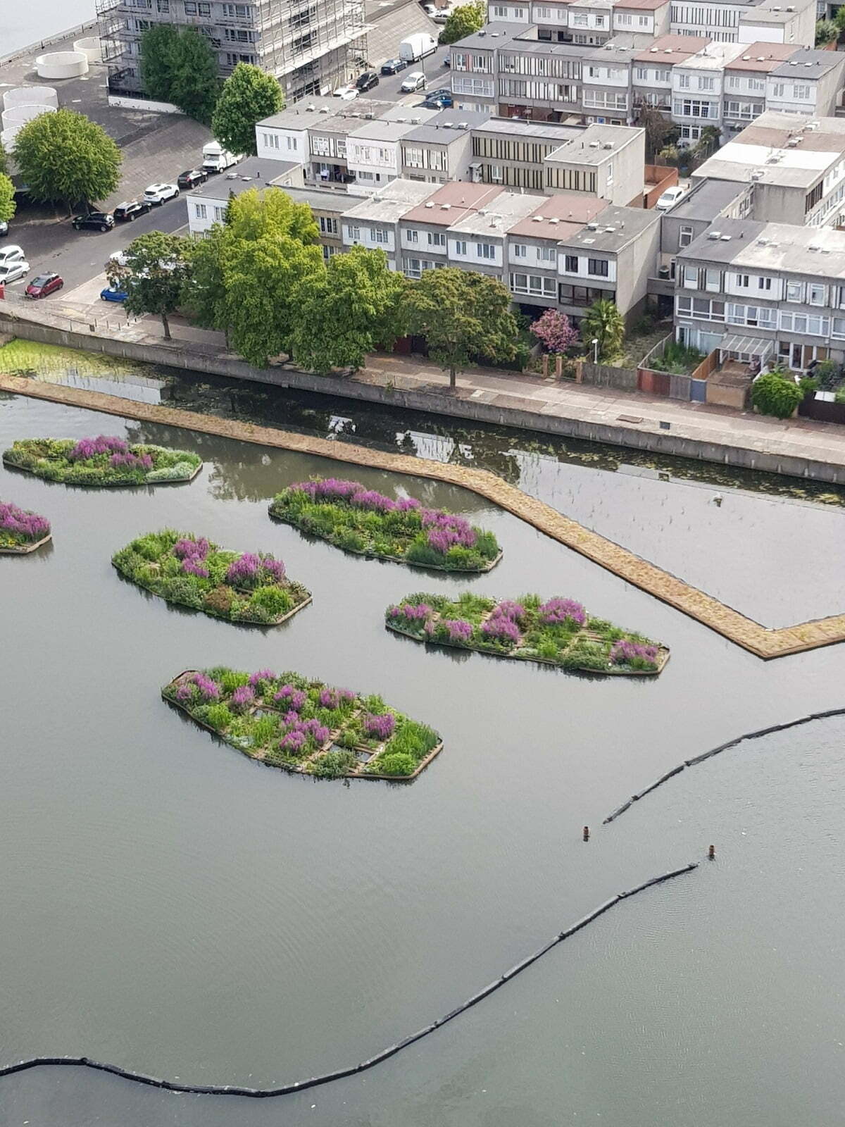 COLLABORATION LEADS TO SUCCESS FOR LAND & WATER GROUP AT SOUTHMERE LAKE RESTORATION
