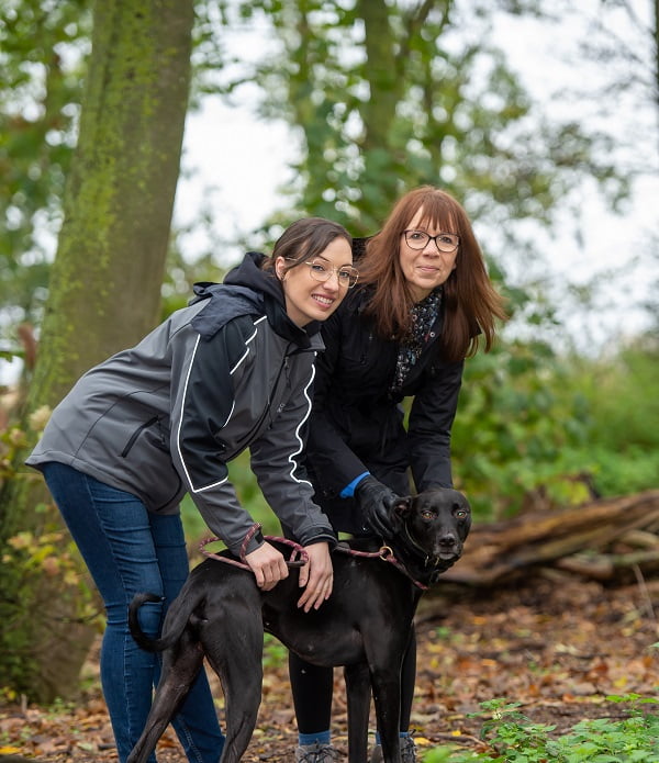 Wellingborough Dog Welfare Welomes Helping Hands From Local Housebuilder