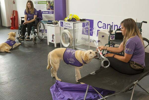 Assistance dogs charity receives £50k in renewed partnership with Leicestershire homebuilder