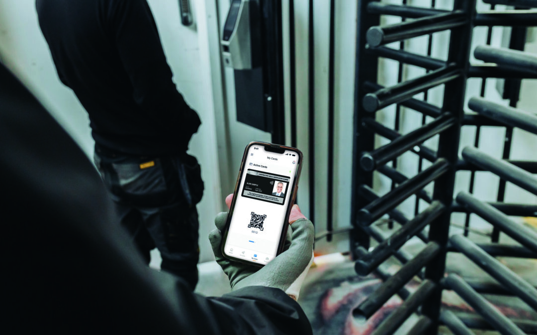 Scaffolding Safety Reshaped Digitally 