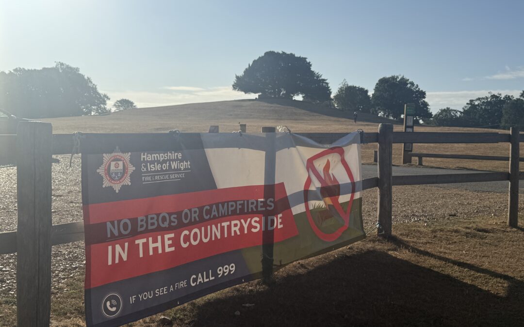 New Forest organisations lead recovery effort following heathland fire