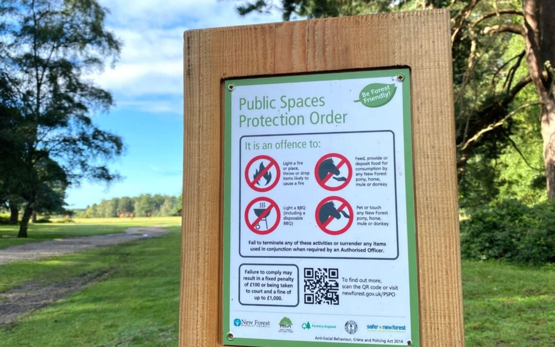Government ban on disposable barbecue sales strengthens New Forest wildfire prevention