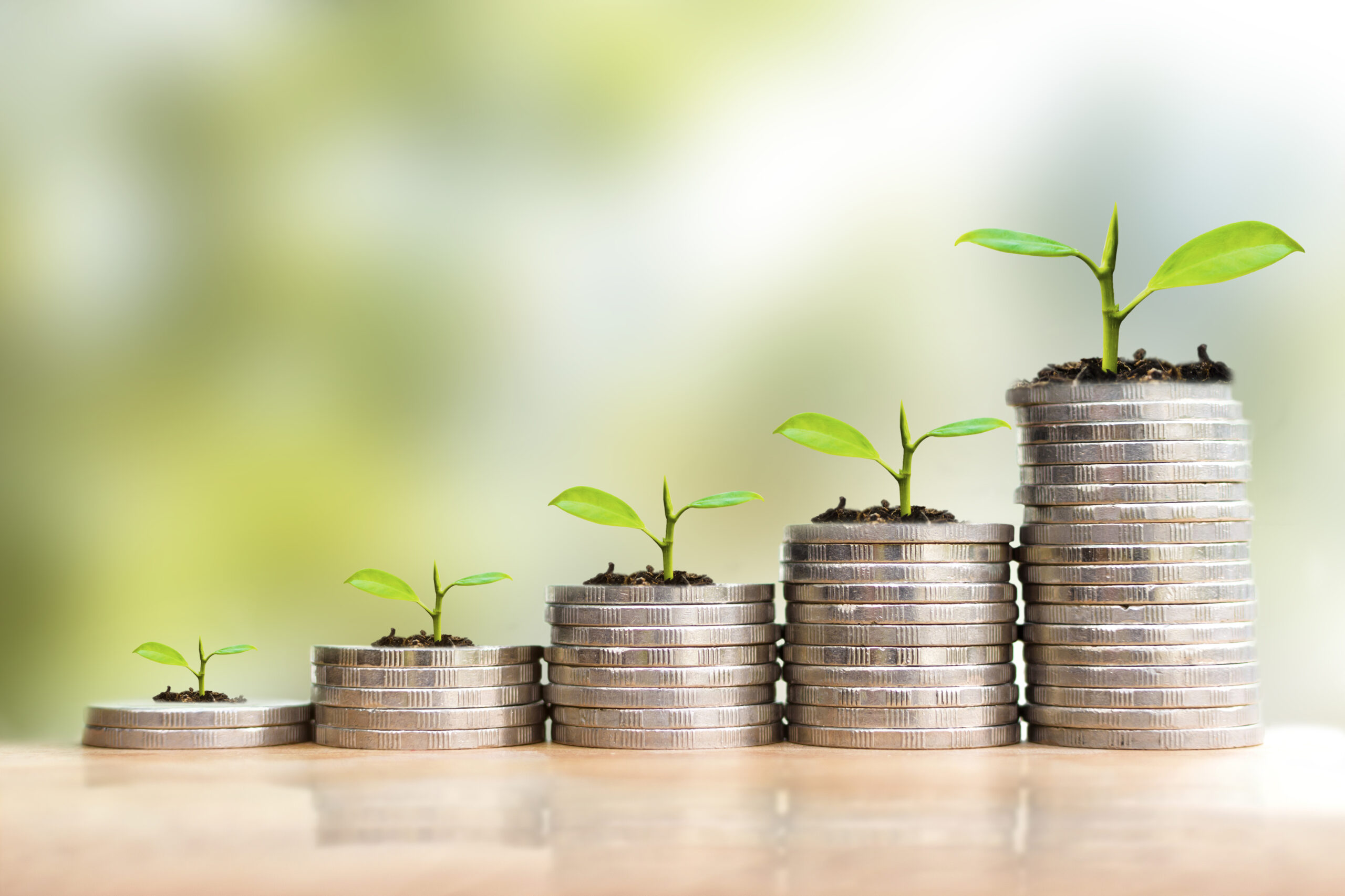 stacked coins in a row on a wooden table gradually getting bigger, with green leaves coming out of the top
