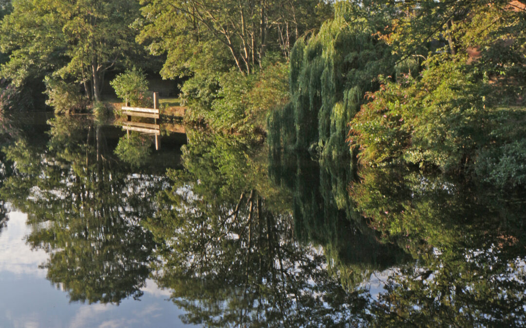 Government unveils plans to unlock over 15,000 new homes and boost nature recovery in Norfolk 