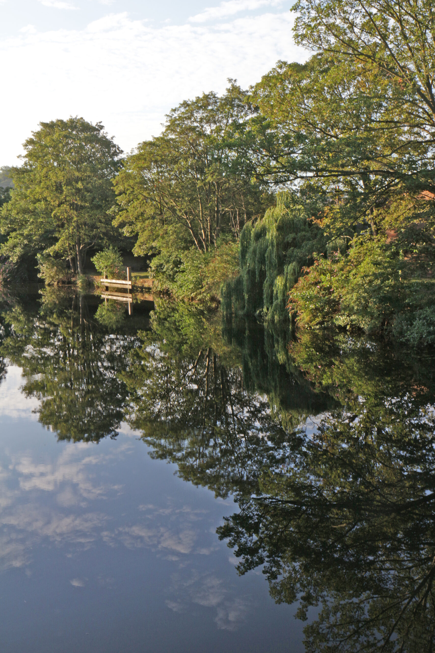 A tranquil stretch of the River Wensum in Norfolk, surrounded by mature trees and lush greenery, with a small wooden footbridge reflected in the calm water beneath a partly cloudy sky.